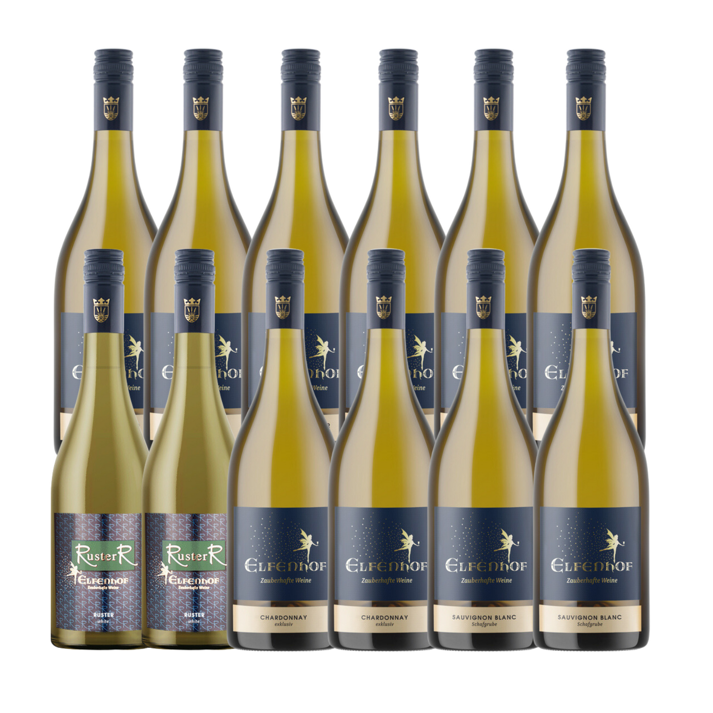 12 dry white wine tasting package